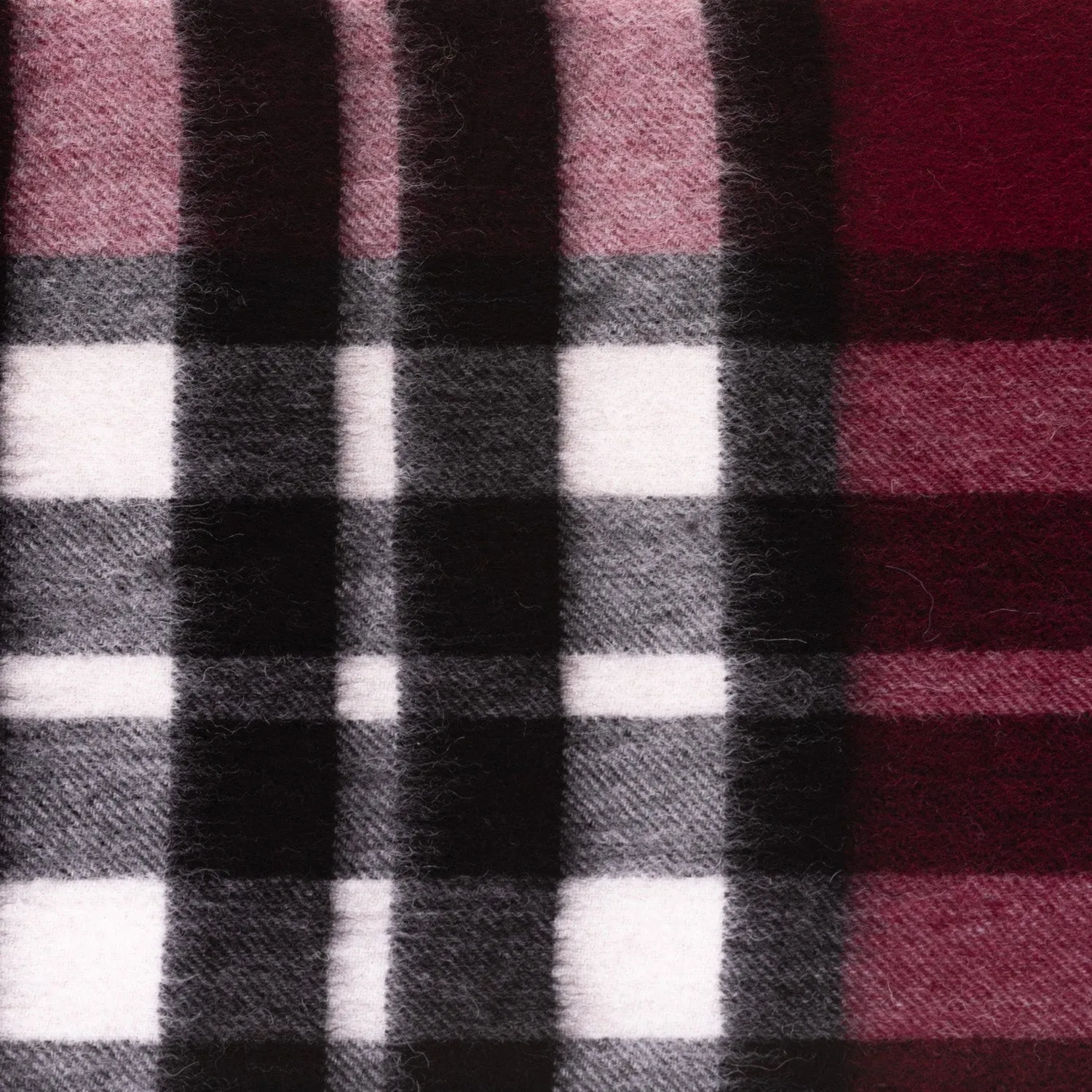 Edinburgh 100% Lambswool Scarf  Exploded Scotty Thomson Cabernet